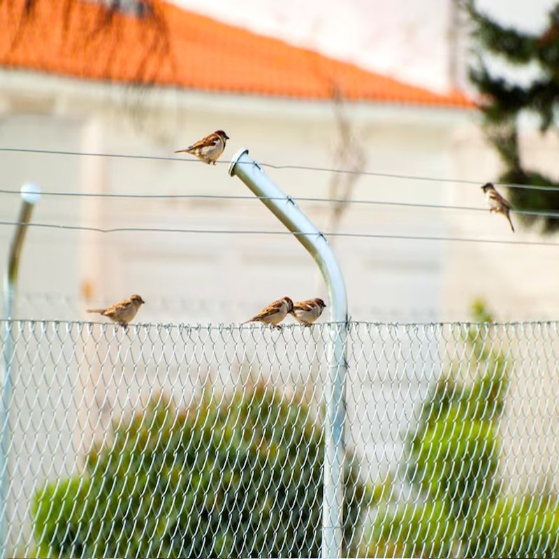 Bird Netting for Apartments